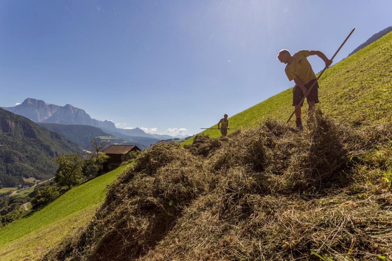 Fruehaufhof Lägenhet Barbiano  Exteriör bild