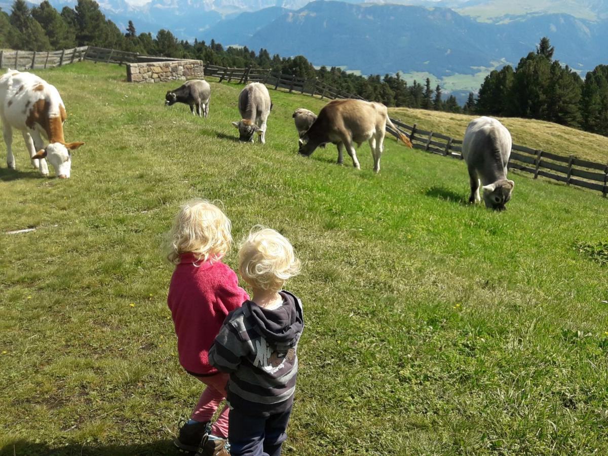 Fruehaufhof Lägenhet Barbiano  Exteriör bild